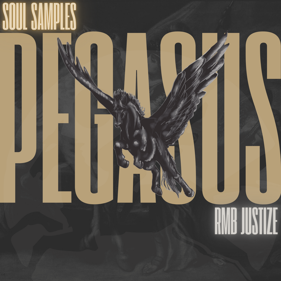 Pegasus artwork